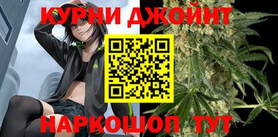 сатива Заводоуковск